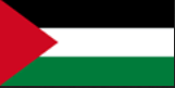 Palestine flag